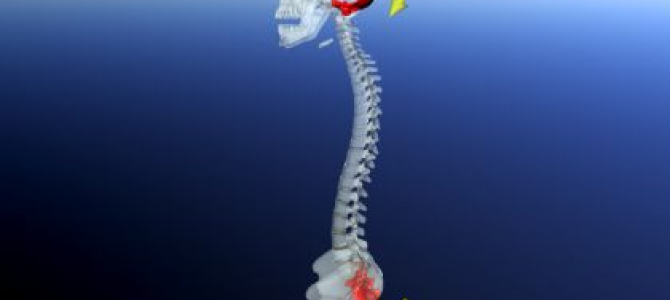 Kraniosakrální terapie